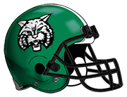 Waterford helmet