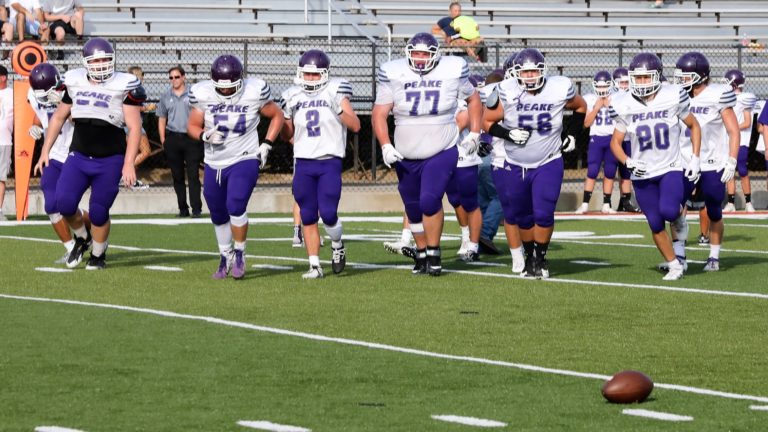 Knipp takes over young Panthers