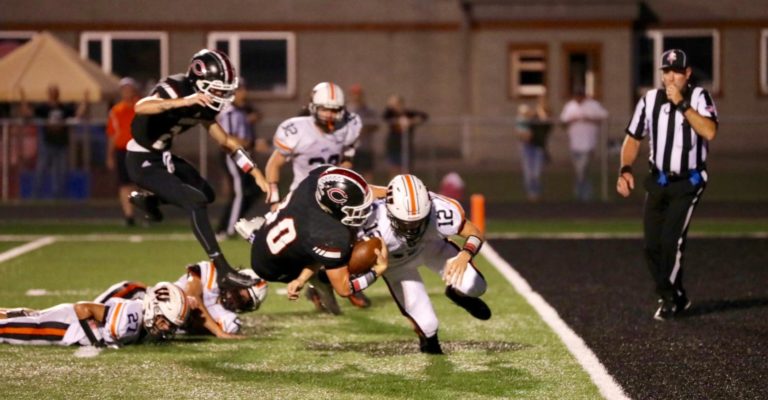 Senators sting, stymie host Hornets